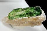 Beautiful Chrome-Dravite Crystal - Tanzania #131245-2